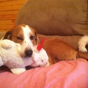 Meet your Posher, Christine